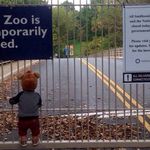 #4 BEST INTERRUPTION: GOVERNMENT SHUTDOWNWaiting for healthcare.gov to load? Head to the zoo! Oh wait...